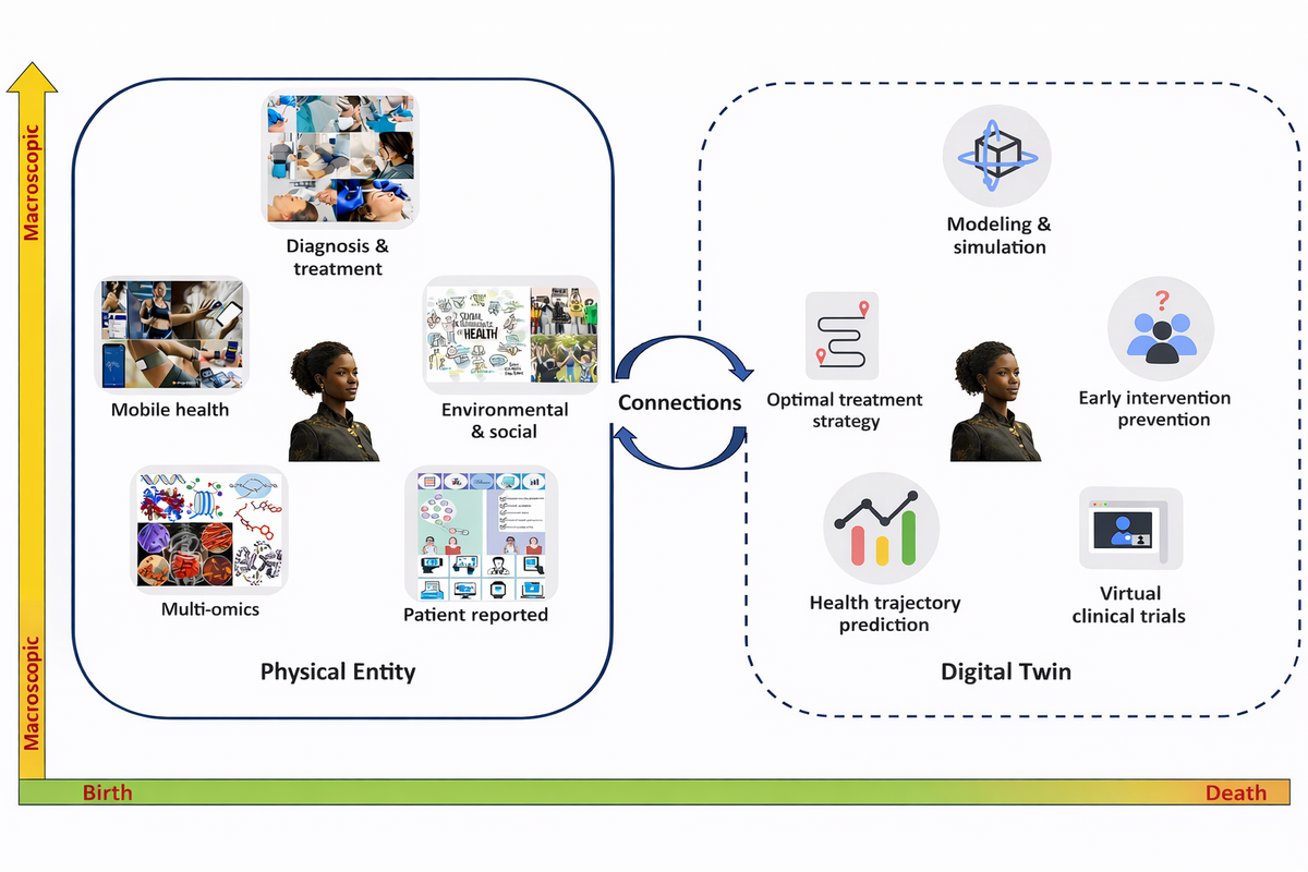 The Coming Age of Digital Twins: Rethinking Medicine, Treatment, and Human Longevity
