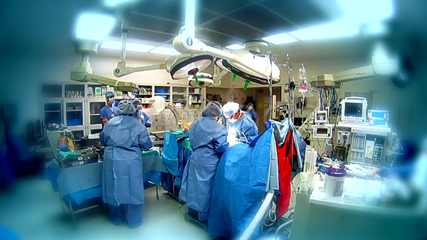 From Scanning to Strategic Visibility: Transforming the Operating Room Through Intelligent Barcode Automation